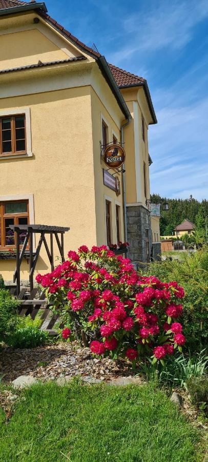 Pension Pod Lipou Loučovice Esterno foto