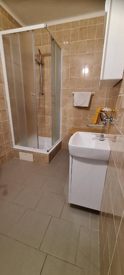 Pension Pod Lipou Loučovice Esterno foto